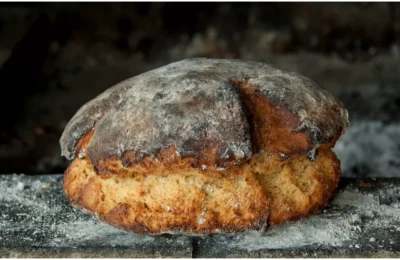  8,600 साल पुरानी दुनिया की सबसे पुरानी ब्रेड, अभी भी गोल और स्पंजी; खोज में क्या पता चला?