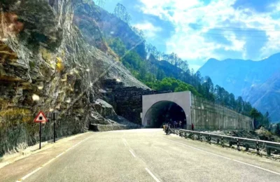 अरे भैया पहाड़ों पर जरा संभलकर! हाईवे पर जान के दुश्मन बन रहे पेड़; टहनियां निकली हुई सड़क तक