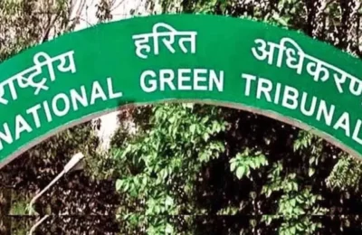 EIA अधिसूचना के तहत नहीं आएंगे बूचड़खाने, केंद्र ने NGT को किया सूचित