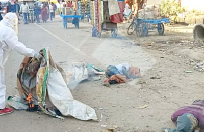 मधुमक्खियों ने किया हमला: बस अड्डे पर मची अफरातफरी, दो युवक हुए बेहोश, ऐसे बच सकी जान