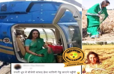 फसल काटती हेमा मालिनी की तस्वीरों की सच्चाई क्या है? पढ़ें ये रिपोर्ट