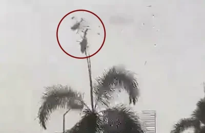  मलेशियाई नौसेना के दो हेलीकॉप्टर परेड रिहर्सल के दौरान आपस में टकराए, 10 लोगों की मौत