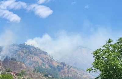 नैनीताल जाने वाले हो जाएं सावधान, आग से धधक रहे यहां के जंगल, पारा बढ़ा…लाचार नजर आ रहा विभाग