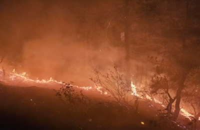 Uttarakhand Forest Fire: नौकायन, पैराग्लाइडिंग पर रोक से सैलानी मायूस, जंगल की आग ने चौपट किया पर्यटन कारोबार