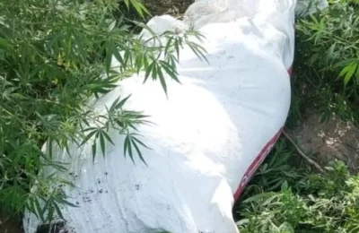 सड़क किनारे पड़ा था सफेद रंग का बोरा, मौके पर लग गई गांव वालों की भीड़- जब खोलकर देखा तो नजारा देख भाग गए लोग