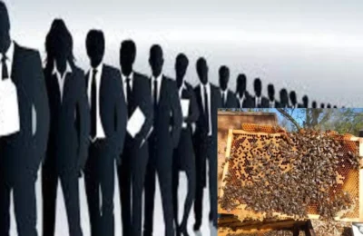 इजरायल में लाखों की नौकरी छोड़ लौटे वतन, अब युवाओं के जीवन में घोल रहे समृद्धि की मिठास; दे रहे रोजगार