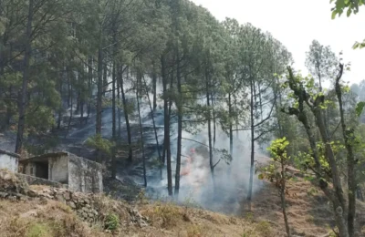नई टिहरी के पास जंगल में लगी आग हुई बेकाबू, वन विभाग के छूटे पसीने