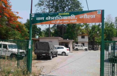 वन अपराधों में पकड़ी गई 10 गाड़ियां सरकारी संपत्ति घोषित, जल्द होगी नीलामी
