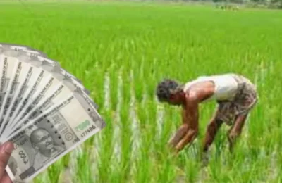 सहकारी समितियों का किसानों पर 40 करोड़ से अधिक बकाया, अब वसूली की तैयारी; 30 जून तक का दिया समय