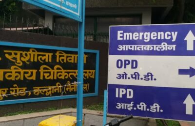 नैनीताल में हार्नेट के हमले में ग्रामीण की मौत, परिवार में मचा कोहराम