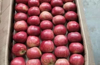 पलायन करने वाले डिफाल्टर आढ़तियों पर सख्ती की तैयारी