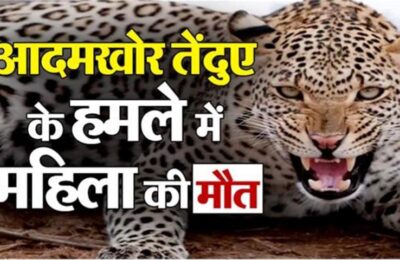 नैनीताल: जिले के बेतालघाट में एक महिला को तेंदुआ ने बनाया निवाला