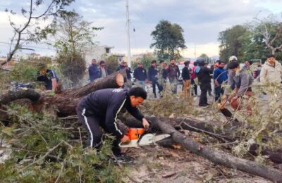 हरिद्वारः अचानक गिरा पेड़ की चपेट में आने से स्कूटी सवार युवती की मौत