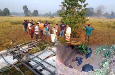 जंगल से भटककर गांव के कुएं में गिरे 4 हाथी, सभी को सुरक्षित कुएं से बाहर निकाल लिया गया