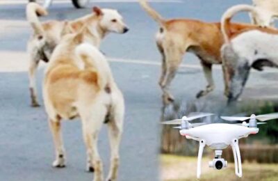 ड्रोन से बढ़ेगी नागरिक सुरक्षा, कुत्तों और कूड़ा फैलाने वालों पर कड़ी निगरानी
